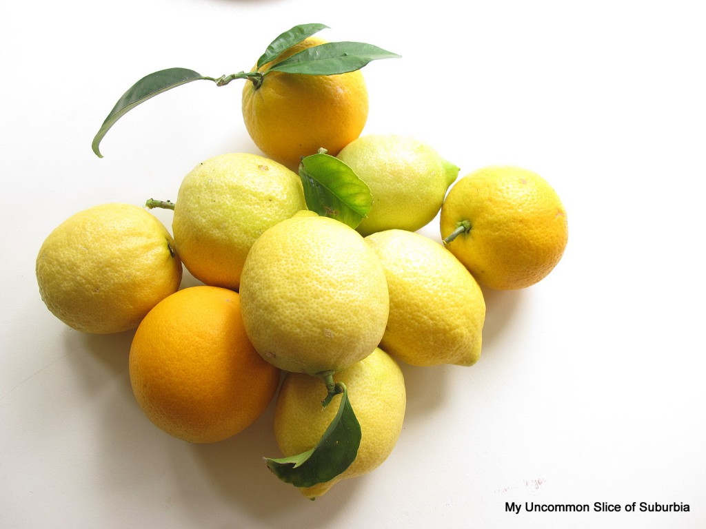 My Favorite Lemon-Orange-Aid recipe