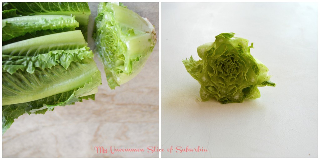 Lettuce prints