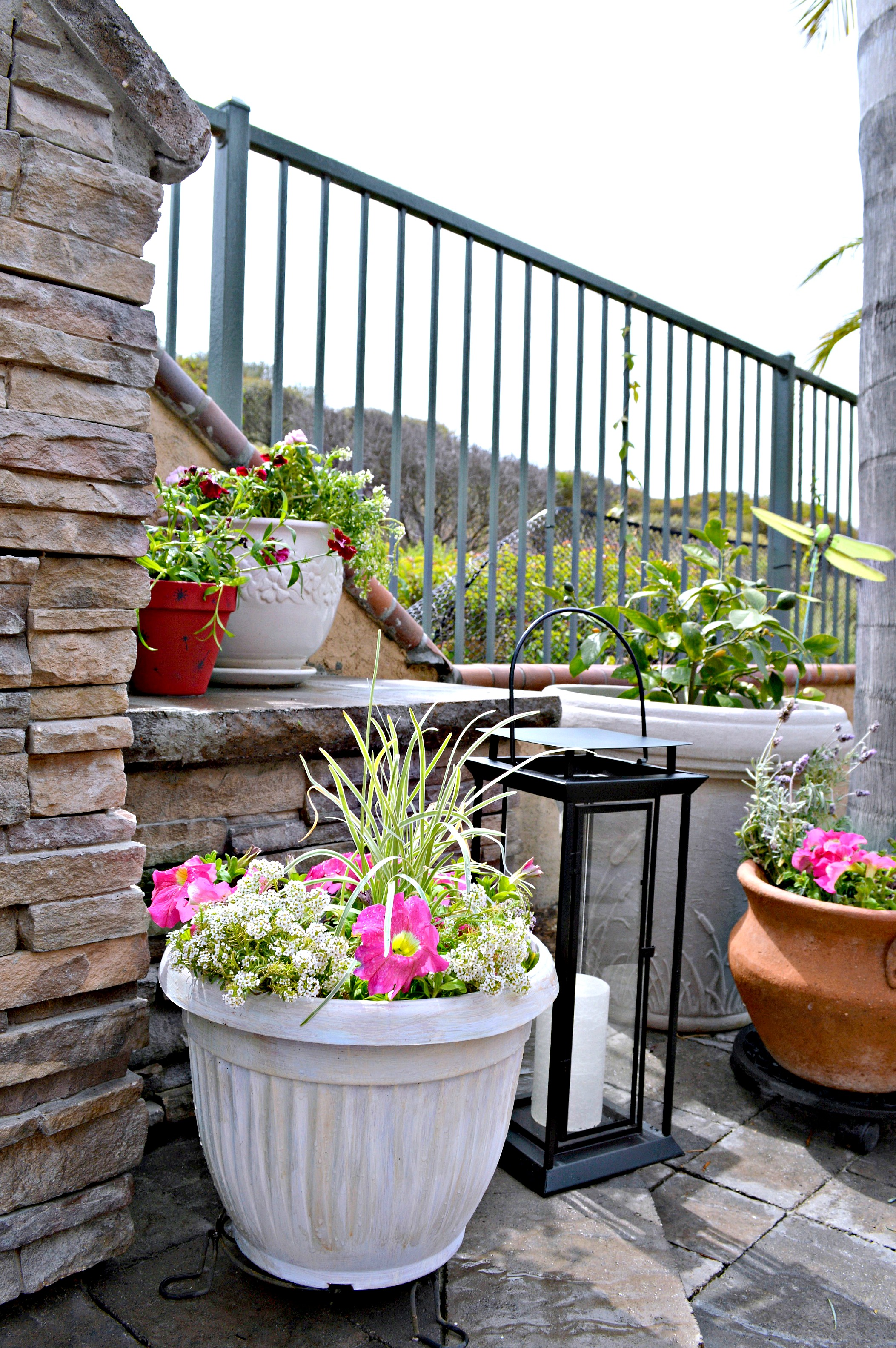 Dollar tree deals flower pots