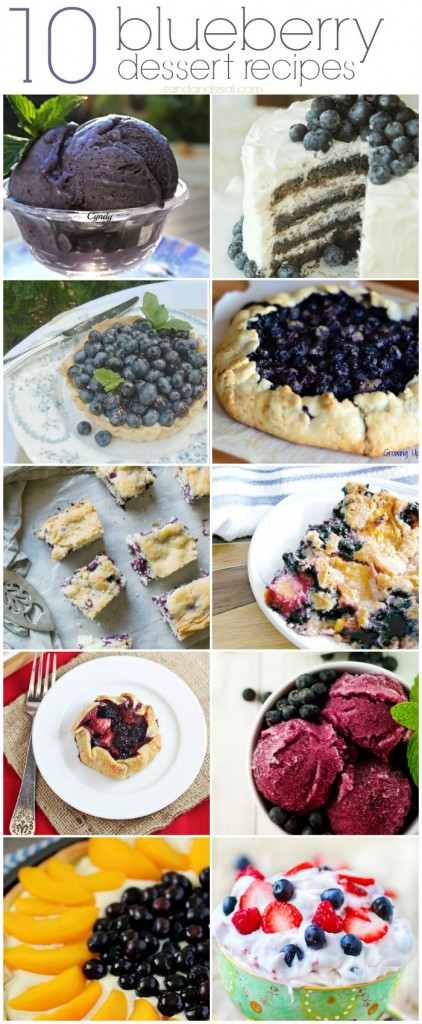 10-Blueberry-Dessert-Recipes