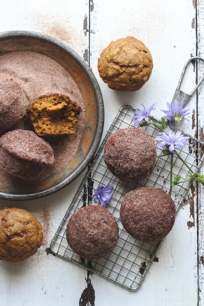 Cinnamon-Sugar-Pumpkin-Muffins-4