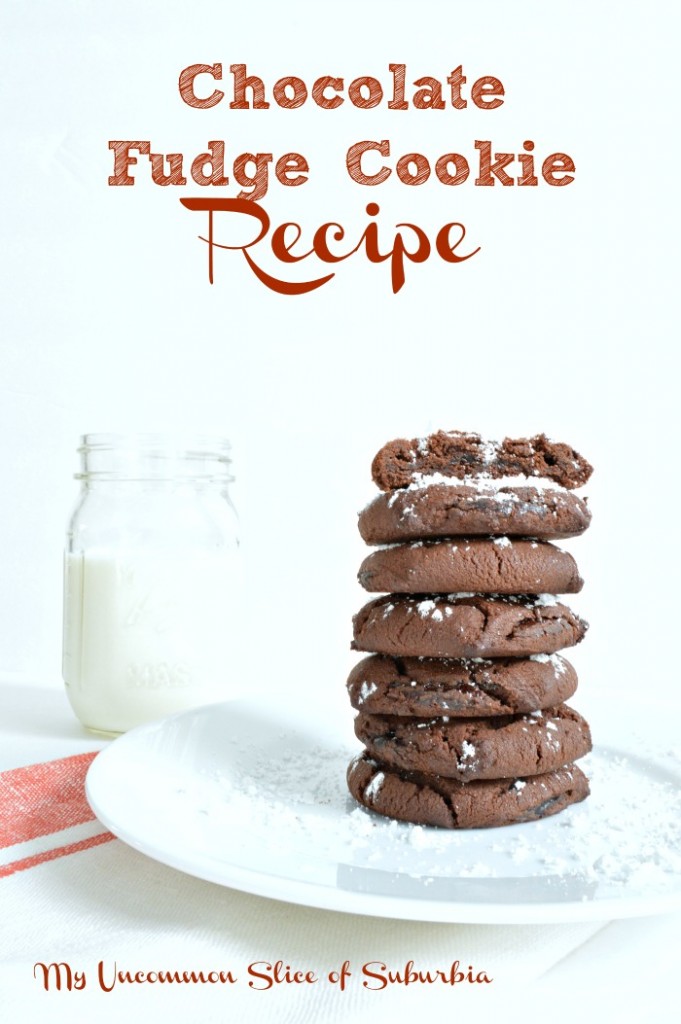 Chocolate Fudge Cookie Recipe