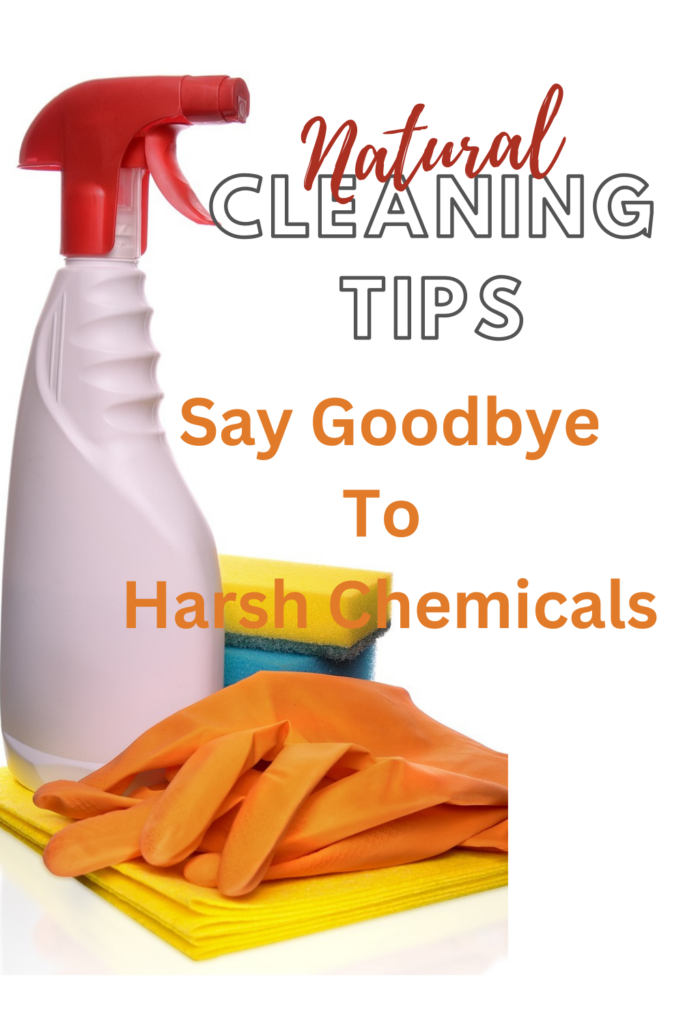 Post Holiday House Cleaning Tips - Clean and Scentsible