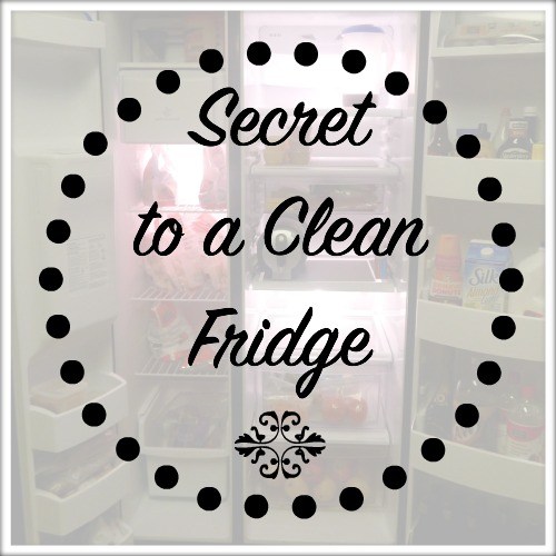 https://myuncommonsliceofsuburbia.com/wp-content/uploads/2016/01/Secret-to-a-Clean-Fridge.jpg