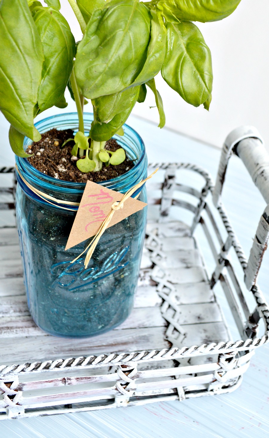 Mother's Day Gardening Gift with Mason Jars and a Giveaway - Domestically  Speaking