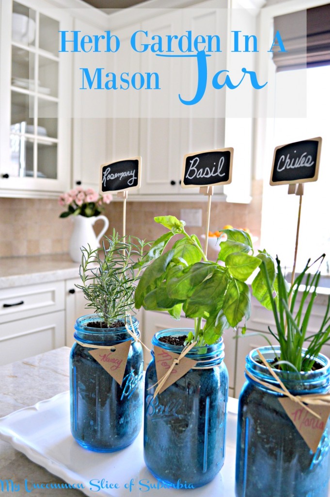 Herb Garden in a mason jar, great idea!