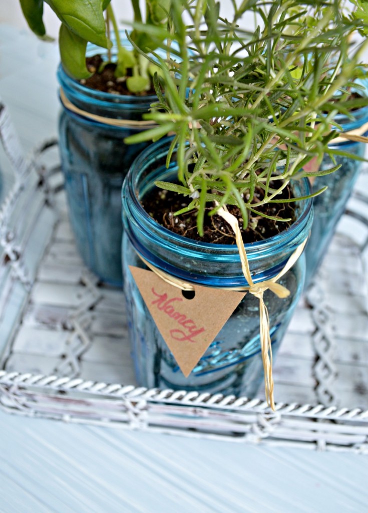 Herbs in a mason jar