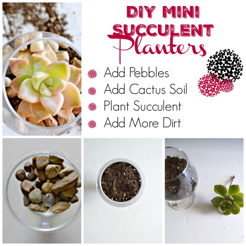 DIY Succulent Planters using a glass