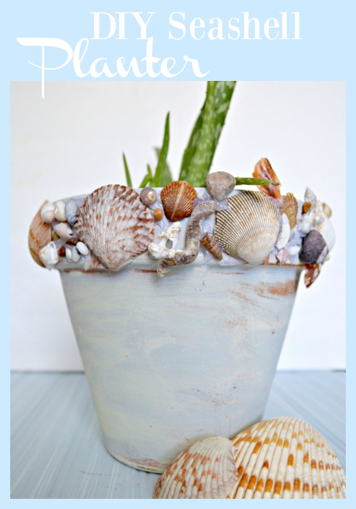 15 Shell Pots and Planters ideas  sea shells, shell crafts, seashell crafts