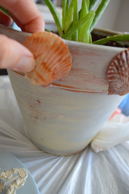 DIY Shell Pot, perfect way to add a little beachy elegance to anyone's decor