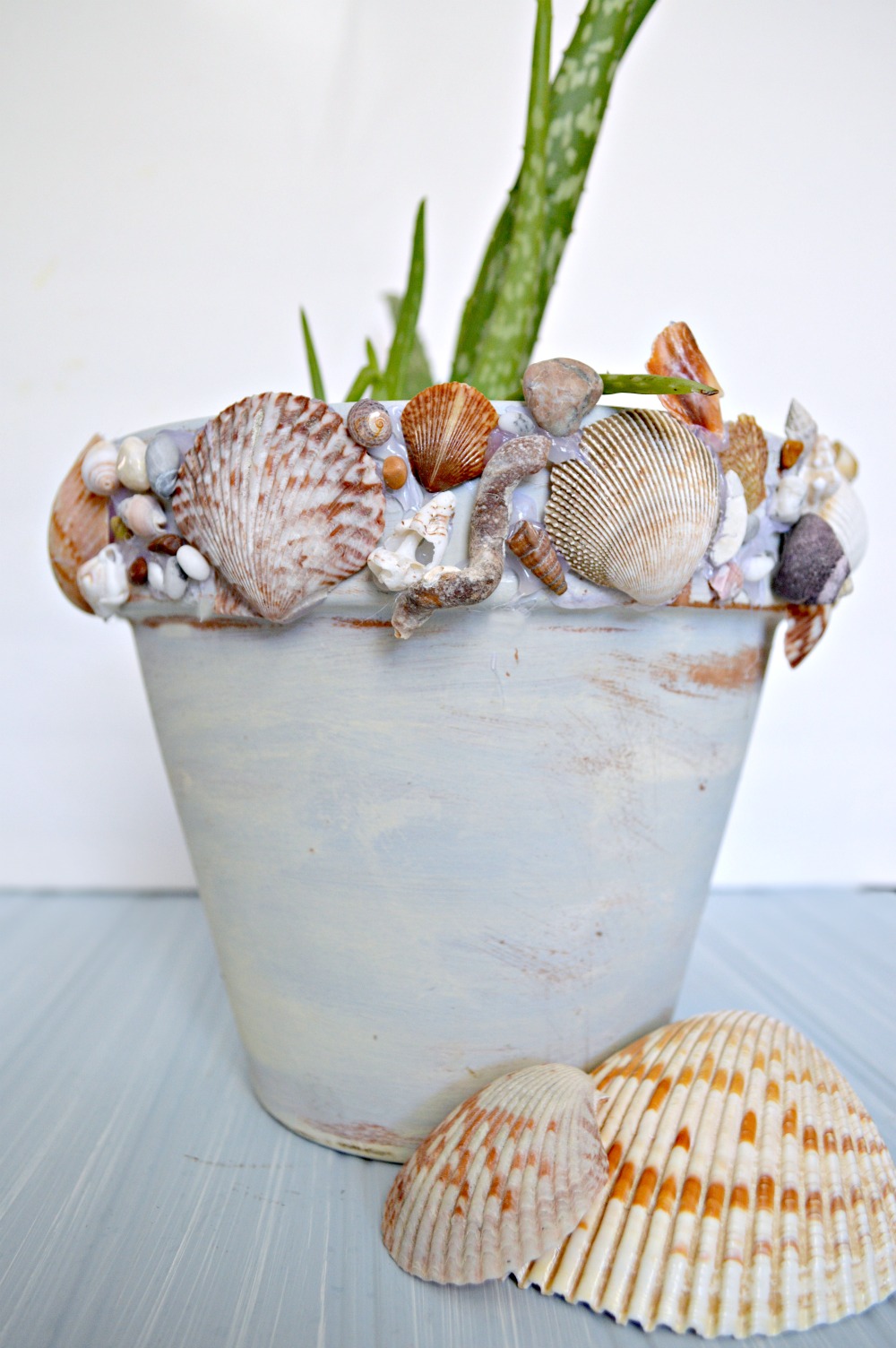 DIY SEASHELL PLANTER –