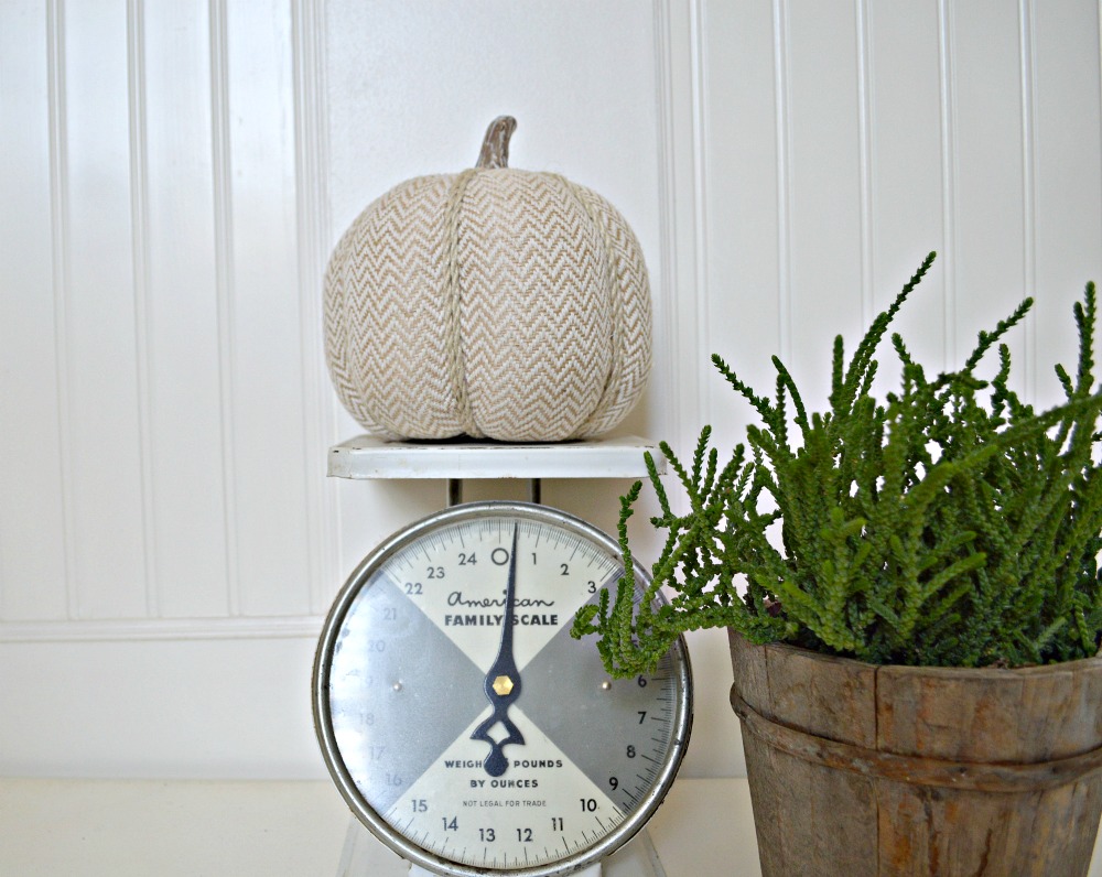 burlap-pumpkins-and-succulents-in-a-rustic-container-perfect-for-fall