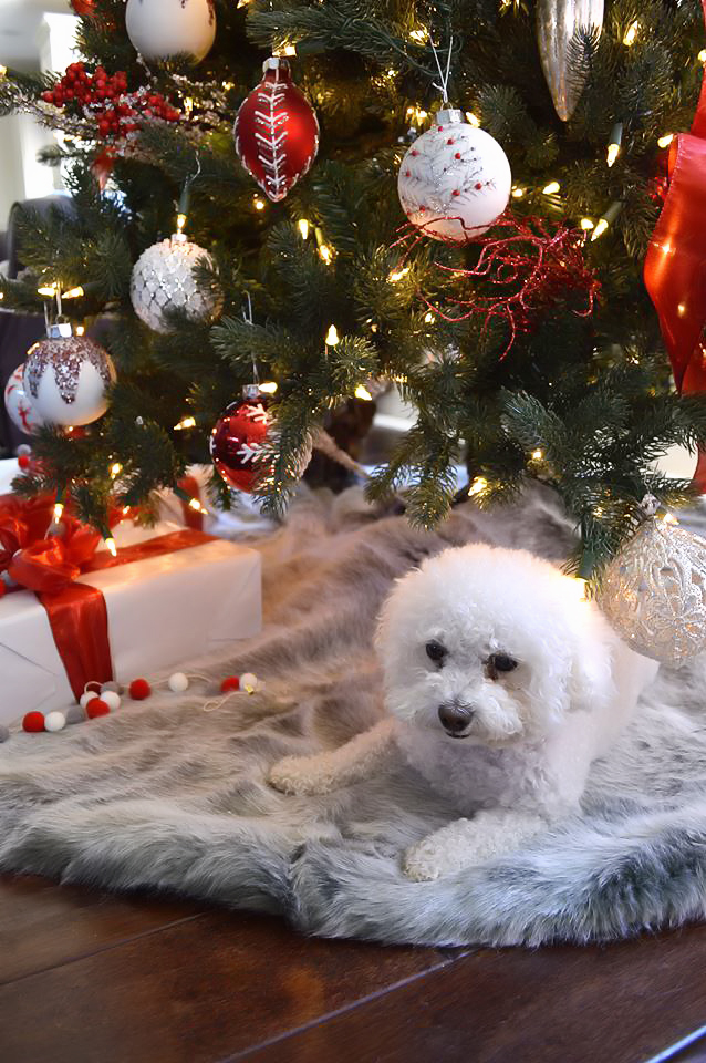 kristin-with-dog-under-tree