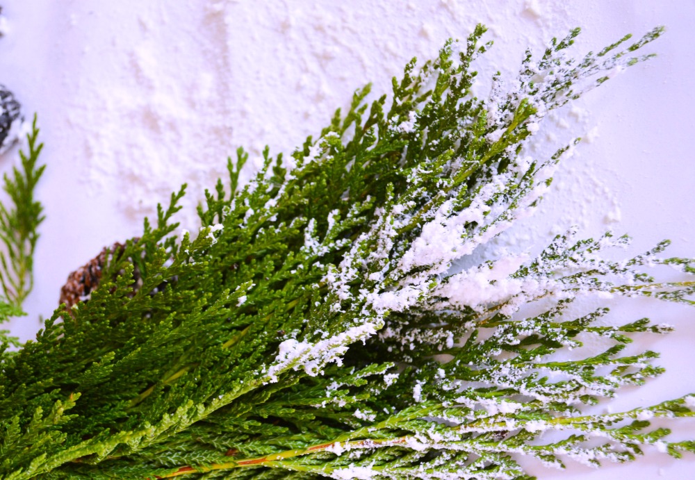 easy-tutorial-on-how-to-make-snow-covered-garland-and-pinecones