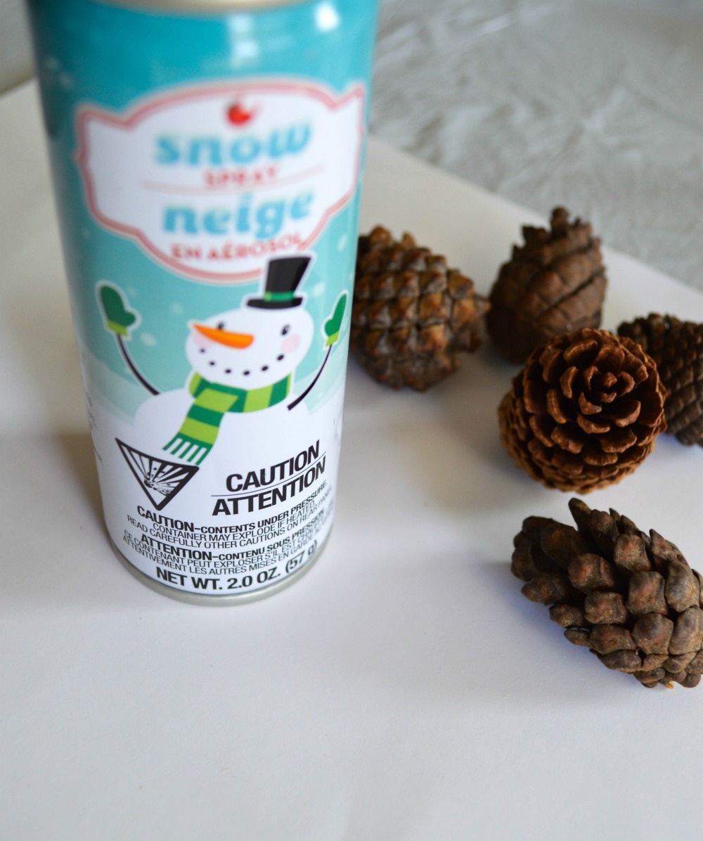 DIY Icicle Pinecones - Clean and Scentsible