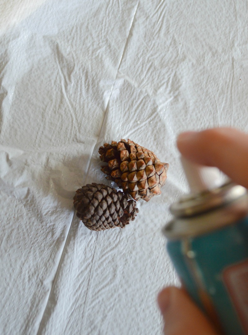 how-to-make-snow-covered-pinecones