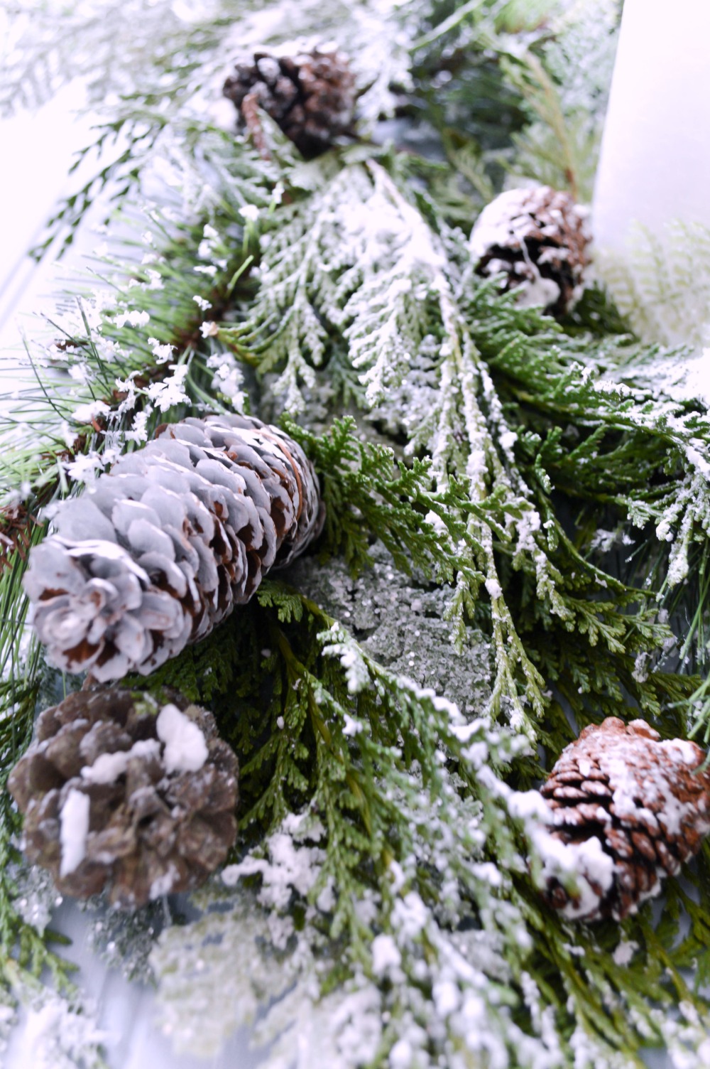 how-to-make-snowy-pinecones-so-easy