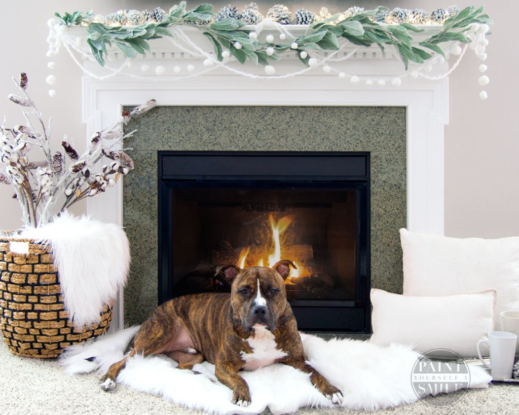 fireplace-winter-garland-and-family-pet