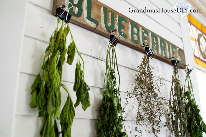 herb-drying-rack-binder-clips