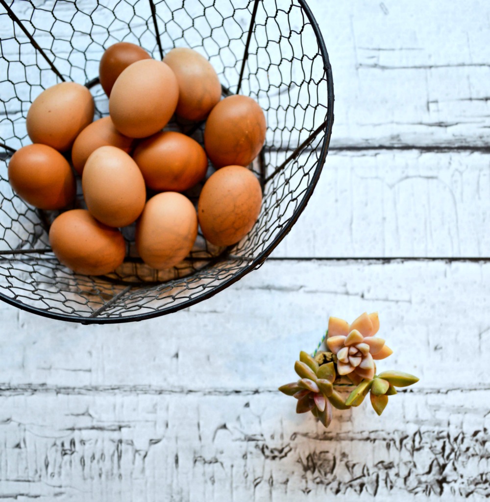 How to make these tiny wine cork succulent planters, such a cute idea!