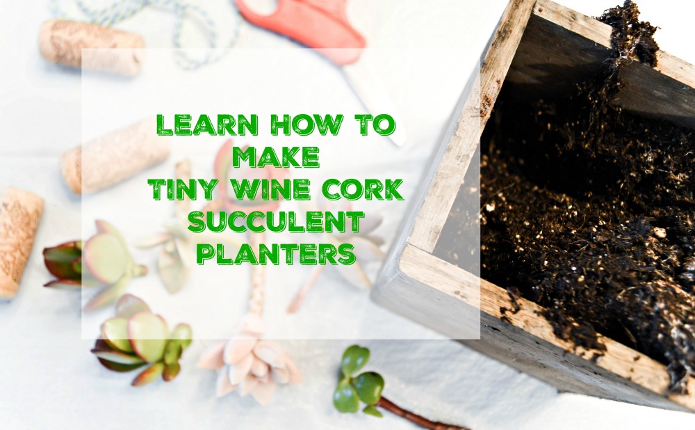 Such a fun and easy project and would make great gifts! Tiny Succulent Cork Planters