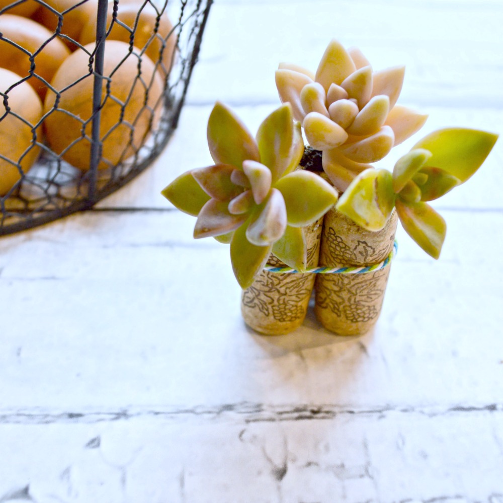 Such a fun project to make, wine cork succulent