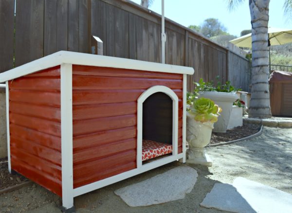 Dog house makeover using spray paint