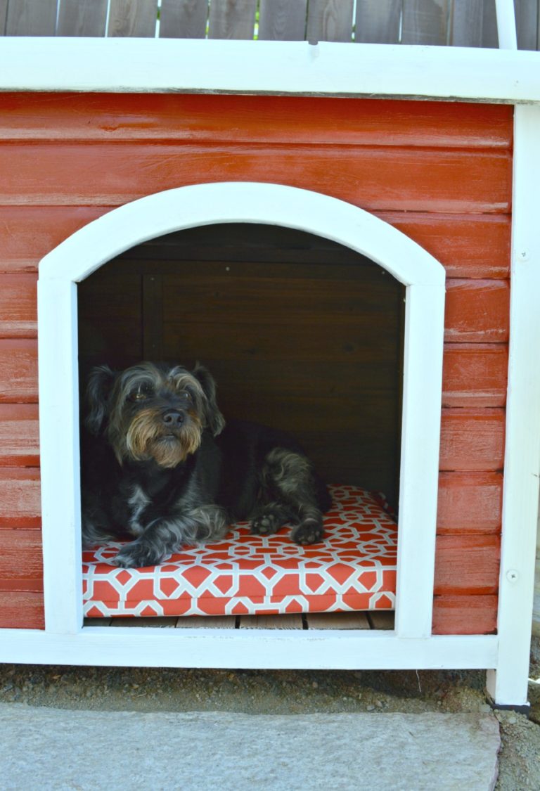 Dog house makeover using spray paint