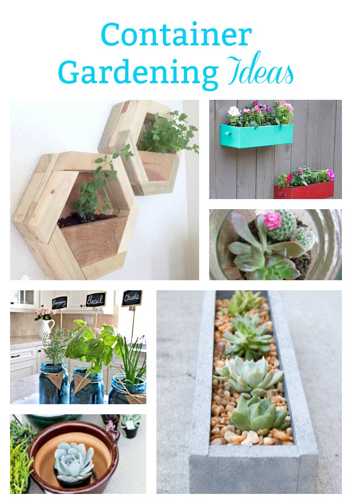 Spectacular Gardening Ideas