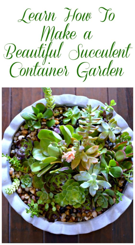 A great step by step tutorial with pictures that shows how to make this beautiful succulent garden.