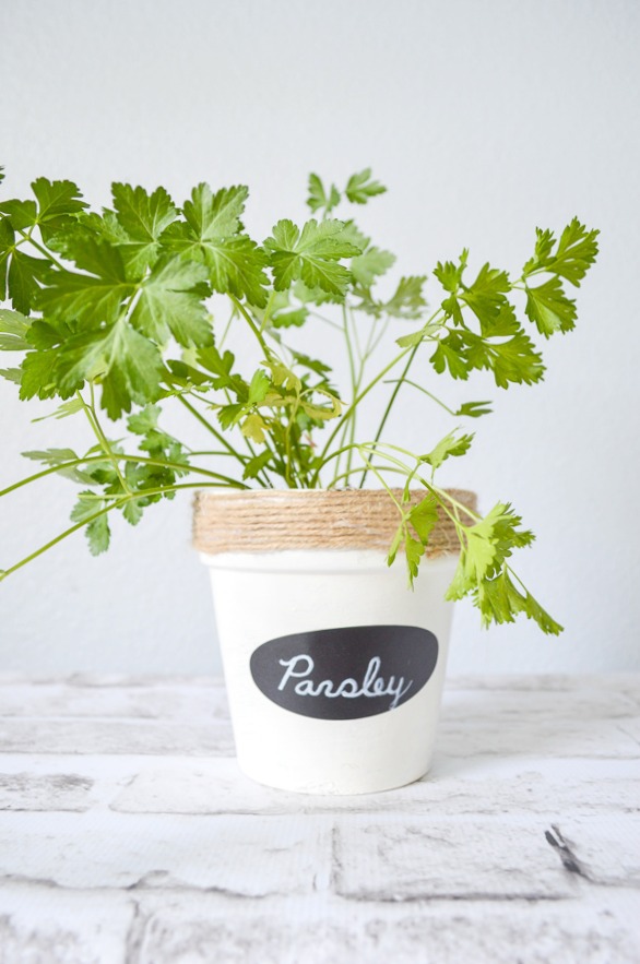 transform those pots into gorgeous herb gardens