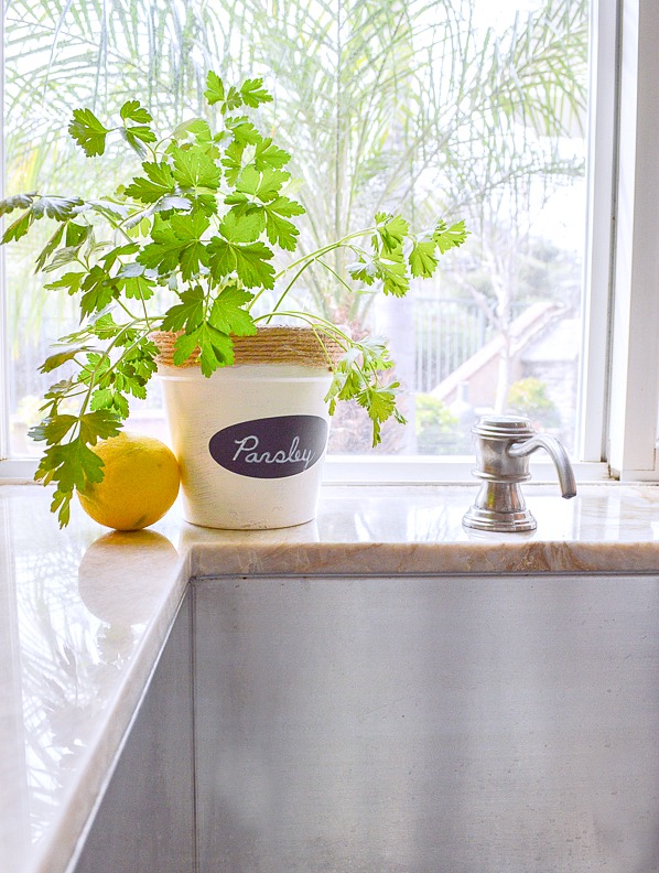 transform those pots into gorgeous herb gardens