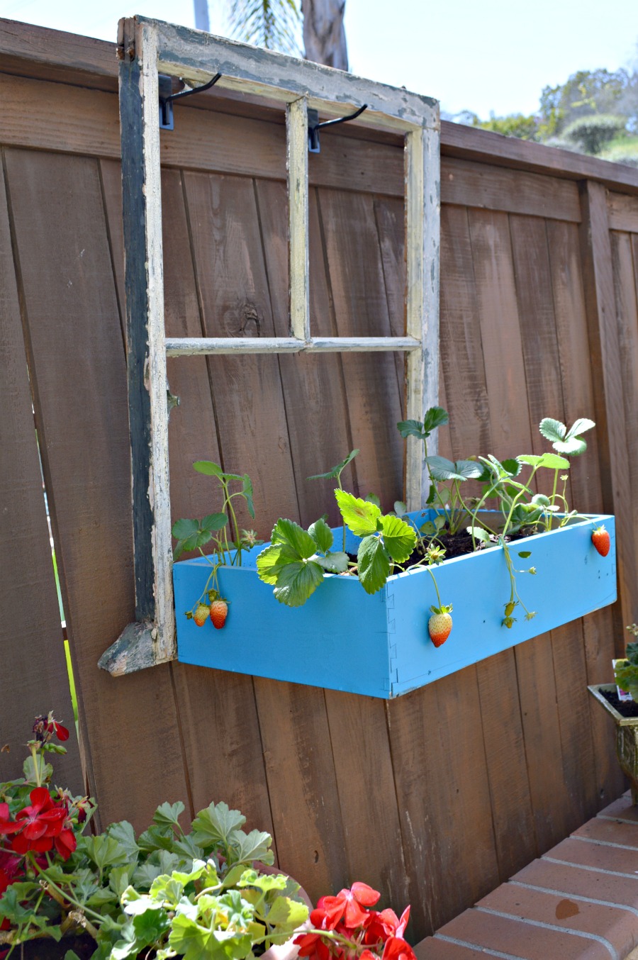 Repurpose an old window and drawer into a flower box