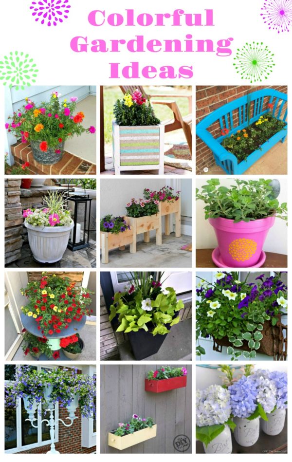 Colorful Flower Garden Ideas - My Uncommon Slice of Suburbia