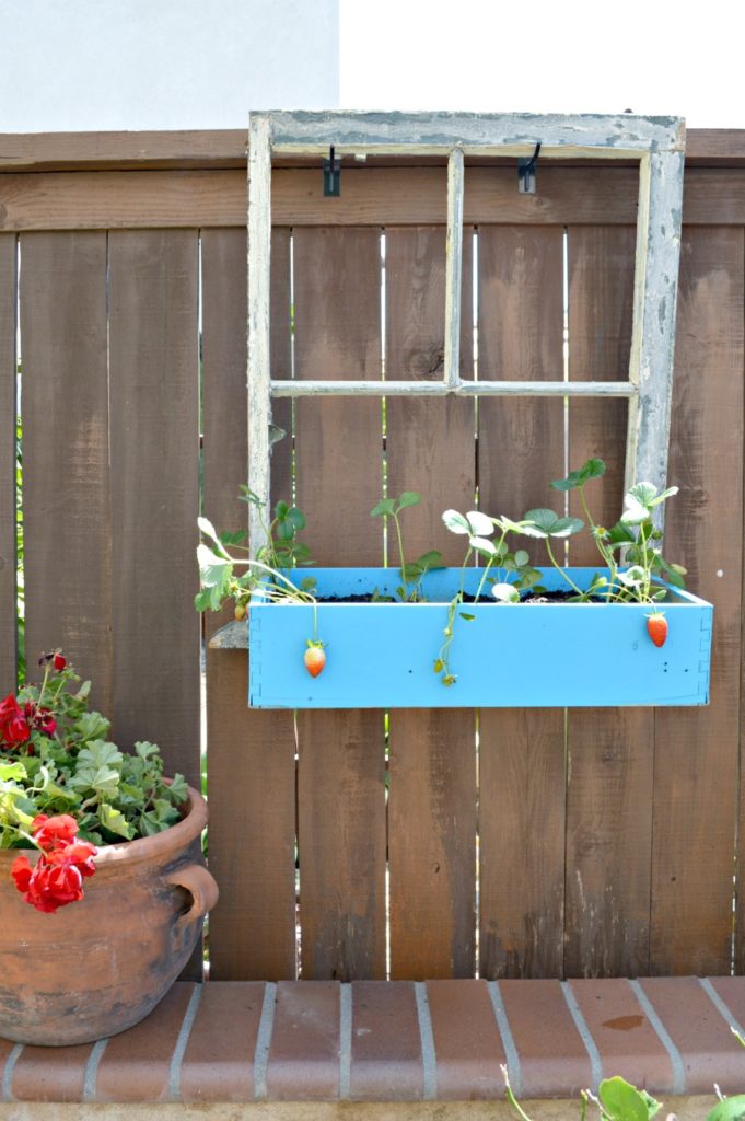 Repurpose an old window and drawer into a flower box