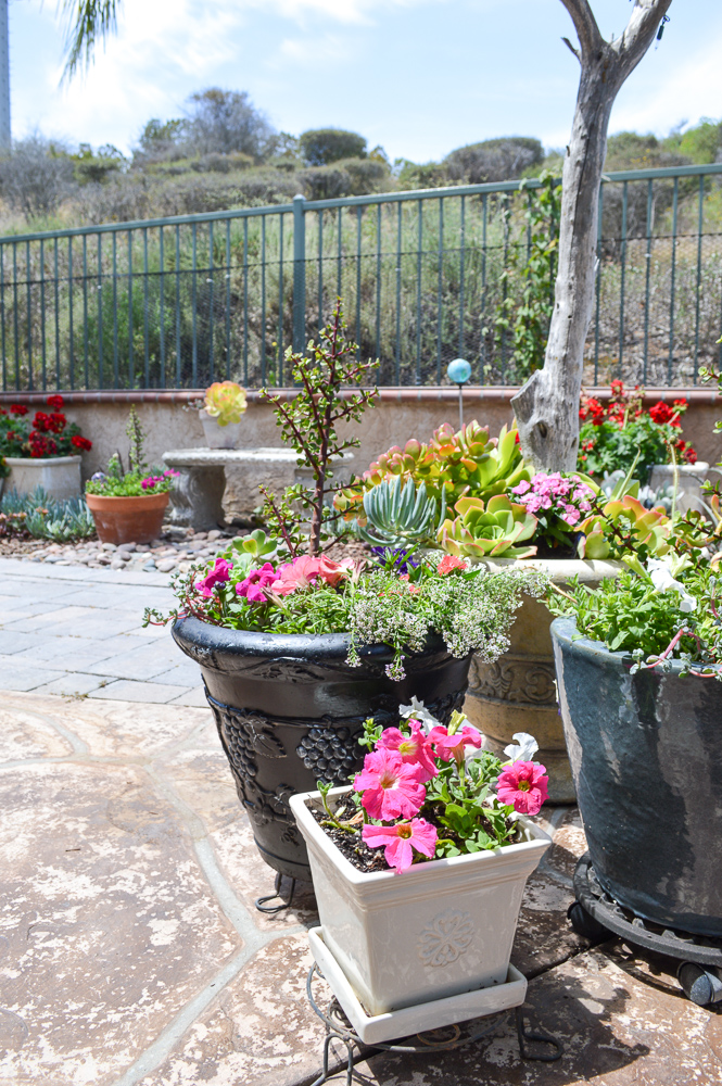 Take a dated old flower pot and give it a fresh coat of paint, great tutorial!