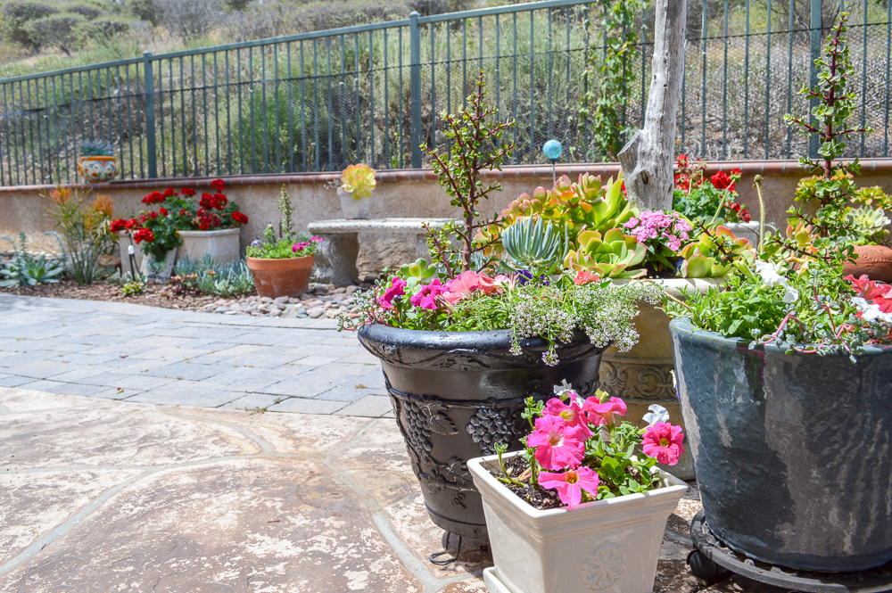 Take a dated old flower pot and give it a fresh coat of paint, great tutorial!