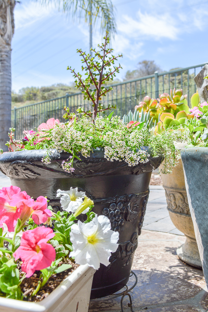 Take a dated old flower pot and give it a fresh coat of paint, great tutorial!