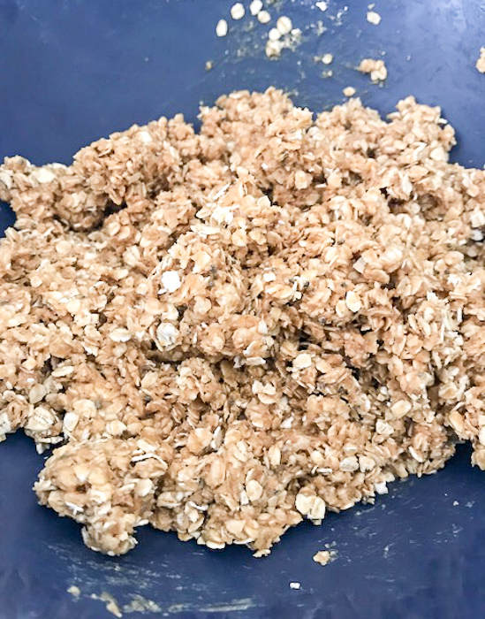 No Bake Oatmeal Protein Energy Balls, so delicious and healthy!