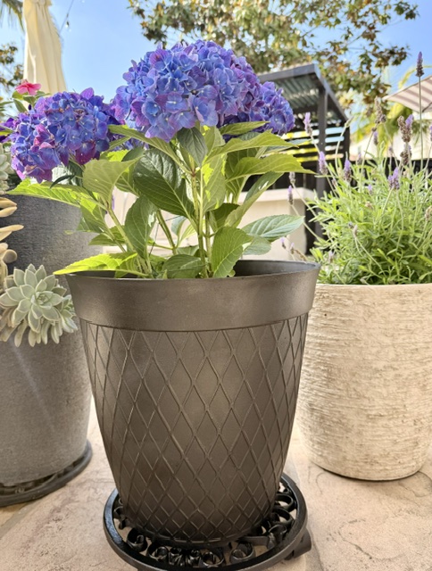 DIY Painted Flower Pots