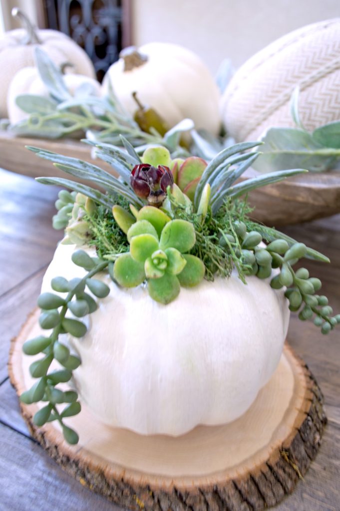 Learn how to make these beautiful succulent pumpkins out of dollar store foam pumpkins