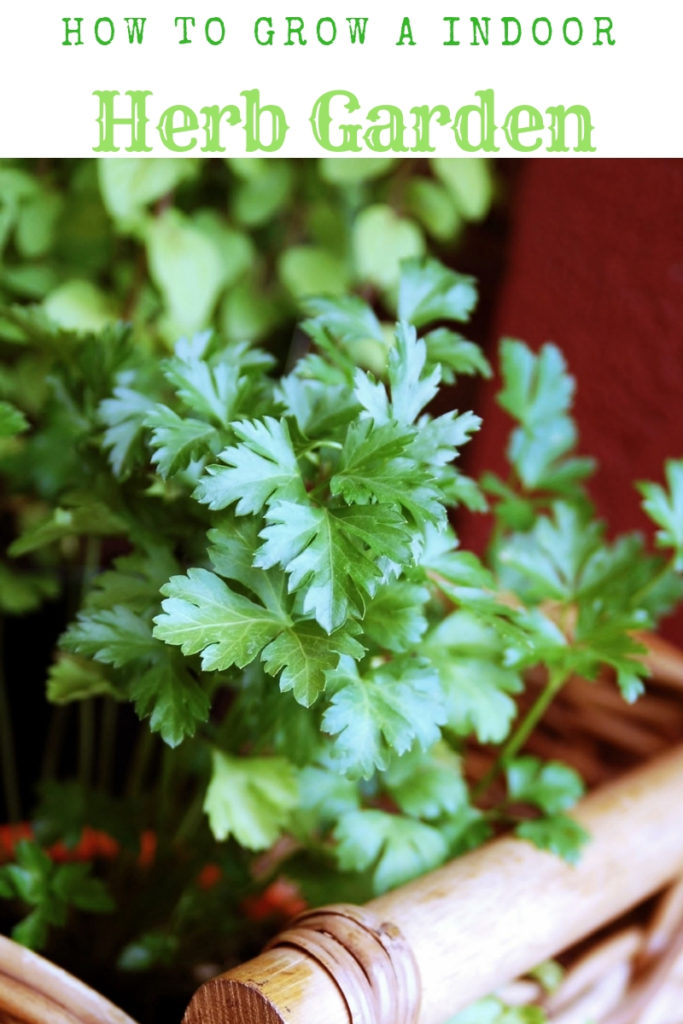 indoor herb garden download