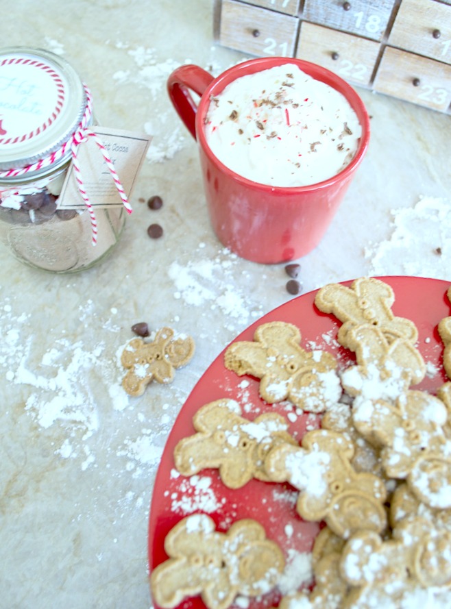 These make the perfect and easiest gifts, Peppermint Hot Coca in a mason jar