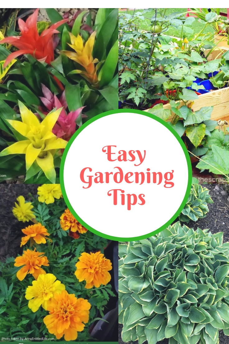 Easy Gardening Tips At Inspire Me Monday