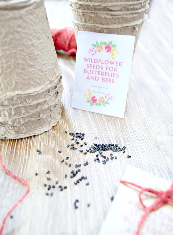 Wildflower Seed Packet Printable Gift Idea - Sisters, What!