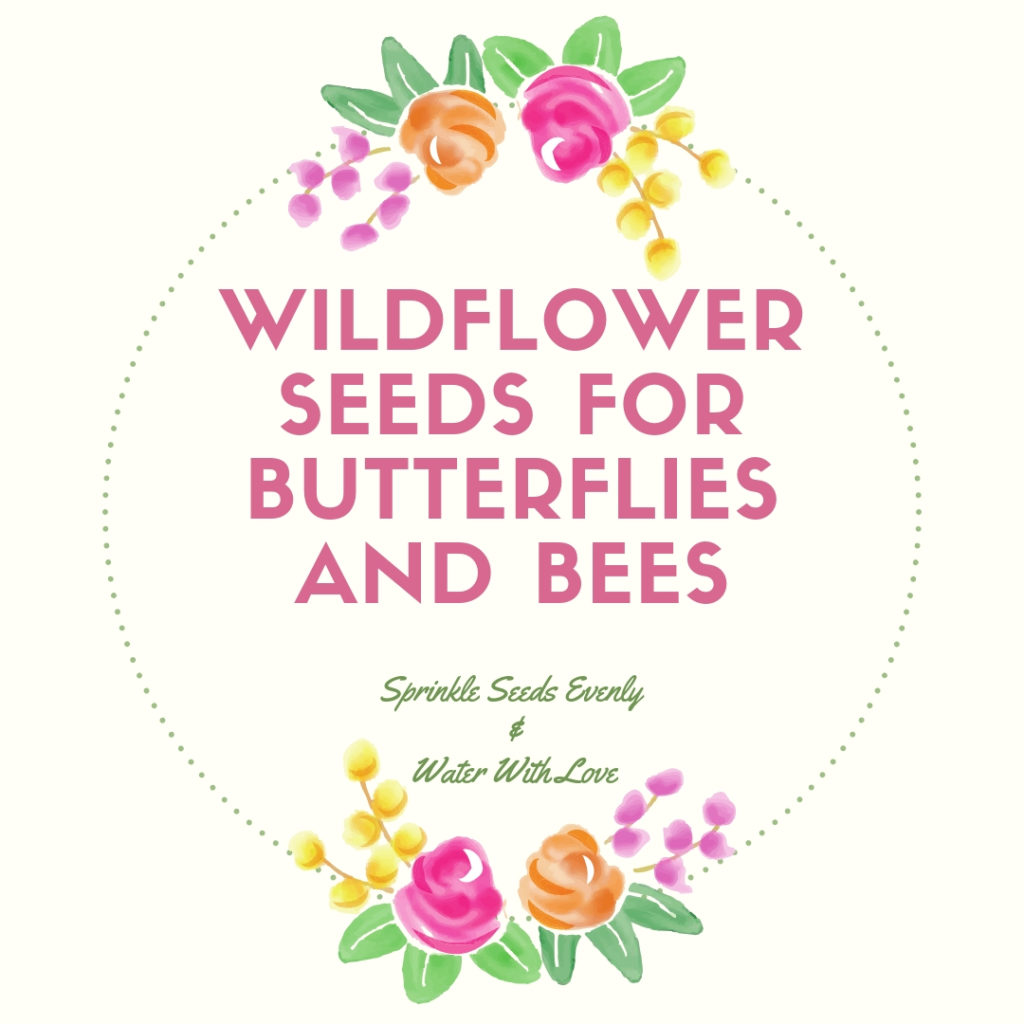 Free Downloadable Printable for seed packets