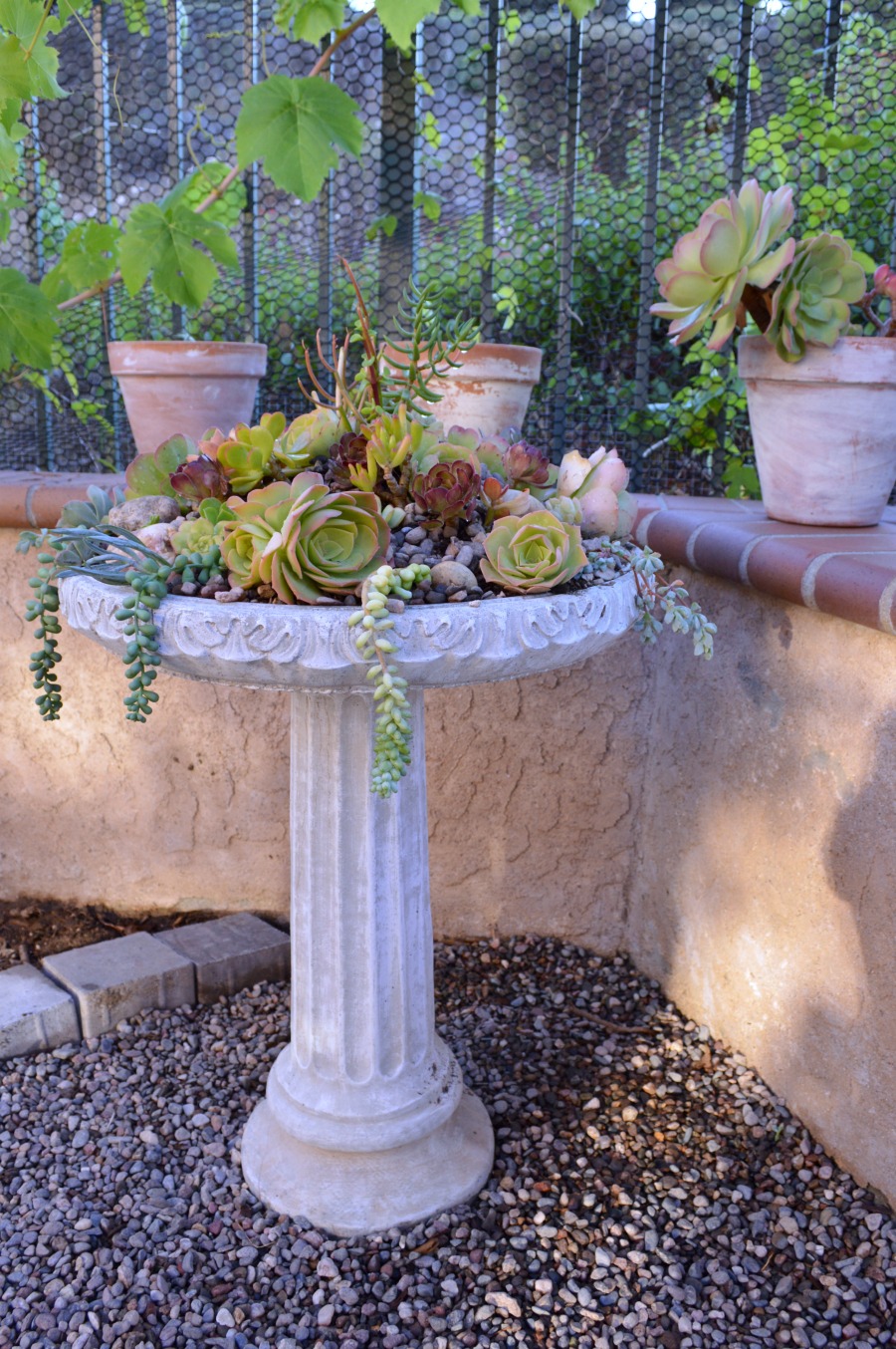 DIY Hanging Birdbath Planter