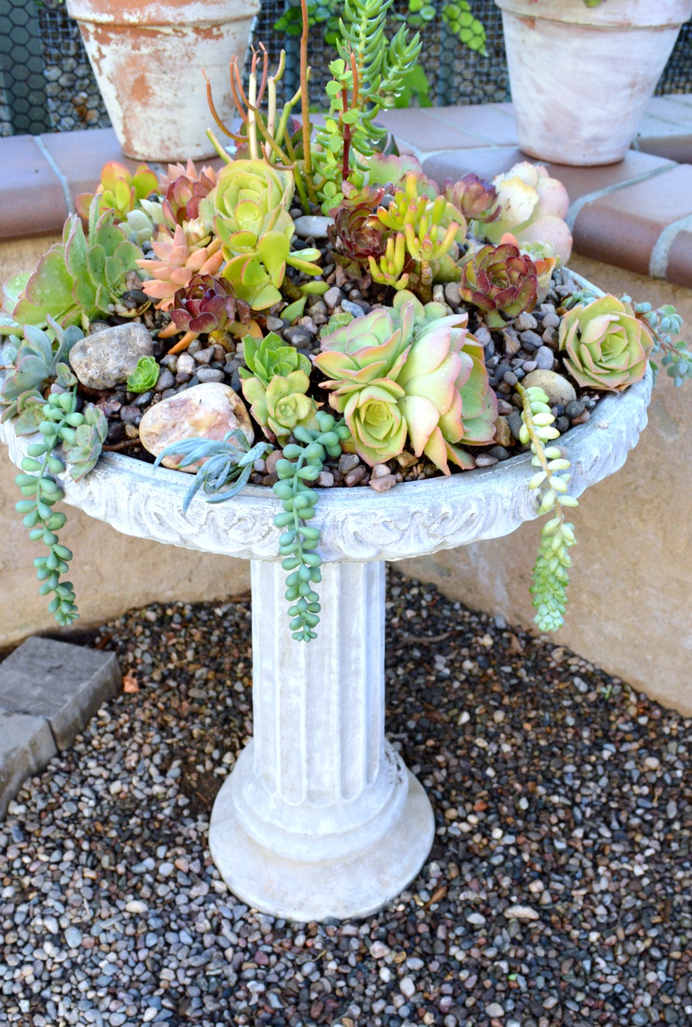 How To Create a Succulent Birdbath Planter - My Uncommon Slice of Suburbia