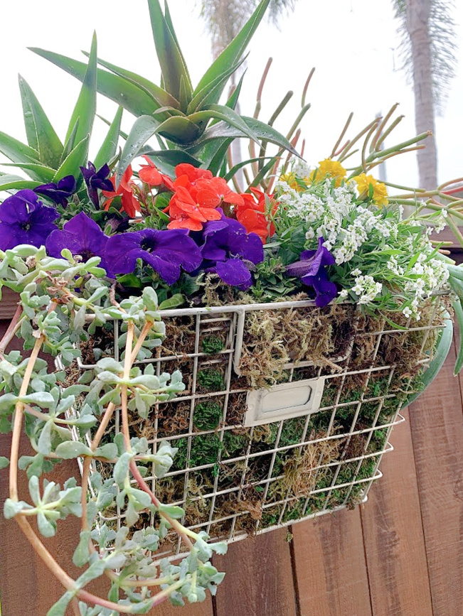 Repurpose A Wire Basket Into A Hanging Flower Planter
