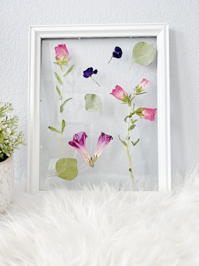DIY Pressed Flower Art in a Picture Frame